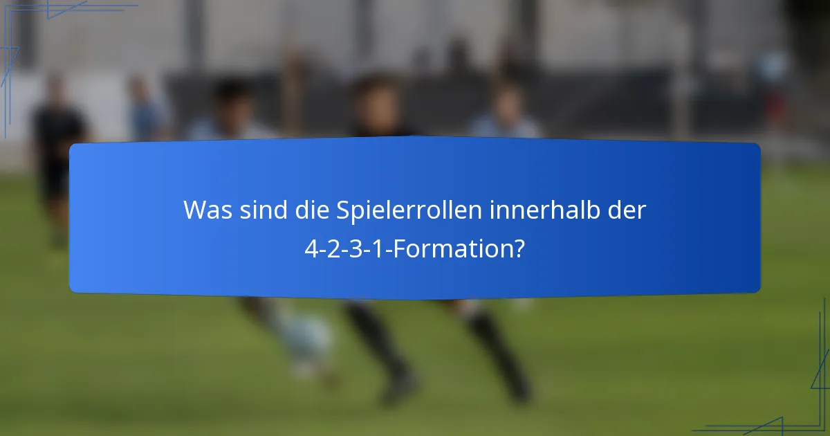 Was sind die Spielerrollen innerhalb der 4-2-3-1-Formation?