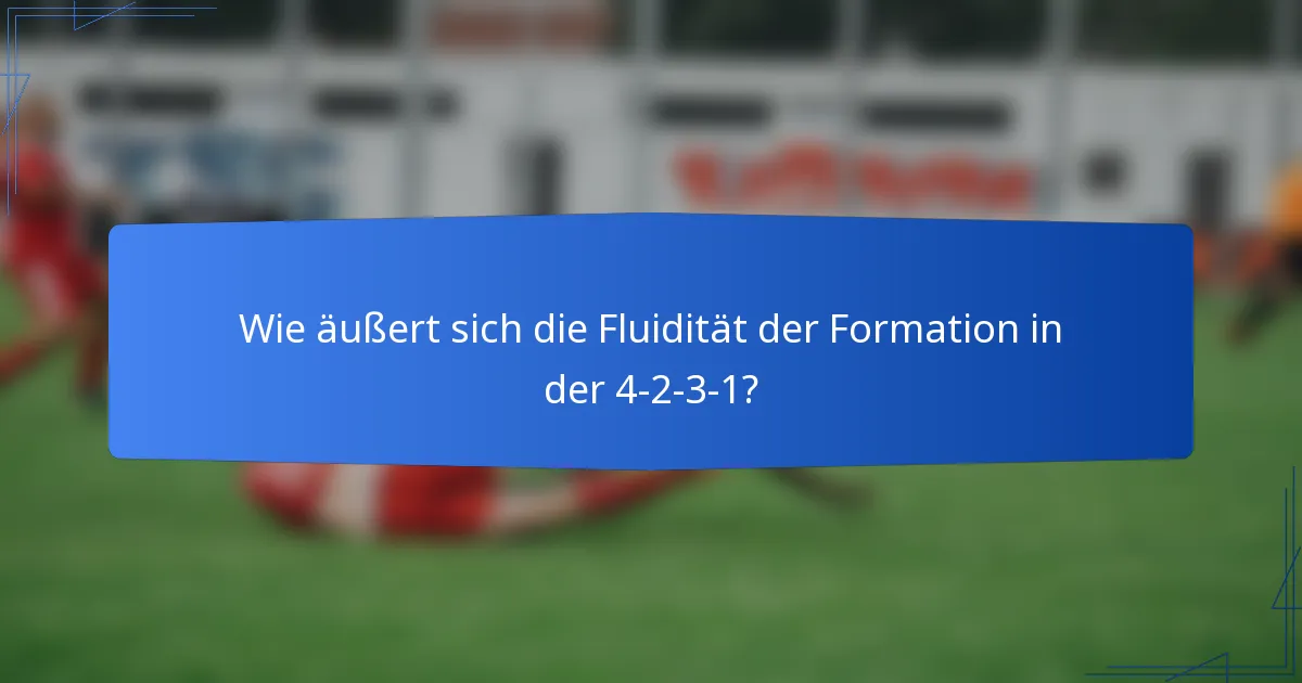 Wie äußert sich die Fluidität der Formation in der 4-2-3-1?